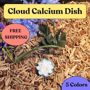 Cloud Leopard Gecko Calcium Dish | Reptile Flower Supplement Feeder