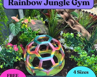 Snake Jungle Gym: Rainbow Edition Reptile Enrichment Habitat Decor