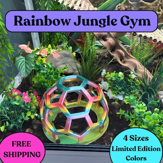 Snake Jungle Gym: Rainbow Edition Reptile Enrichment Habitat Decor