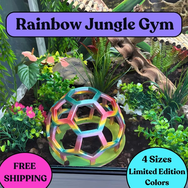 Snake Jungle Gym: Rainbow Edition Reptile Enrichment Habitat Decor