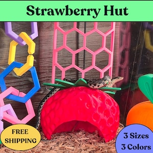 Snake Enrichment, Reptile Hide, Reptile Accessories, Cornsnake, or other Snakes like Gopher, Garter, Sand Boa, Hognose, Strawberry Hut