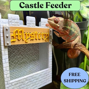 Chameleon Tank Accessories Bug feeder, Reptiles habitat and care feeding dish Also for Leopard gecko & other exotic pet ARCAFE2