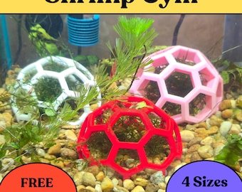 Aquarium Hex Gym: Betta Fish & Shrimp Enrichment Toy
