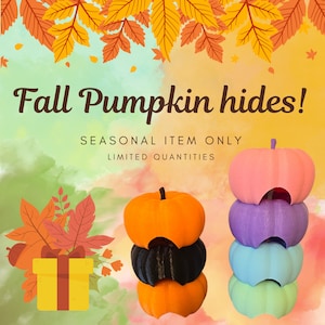 Pumpkin Hide, Reptile Enrichment, Snake, Leopard Gecko, Hognose, Cornsnake, Ball Python, Tarantula, Scorpion, Hermit Crab, Reptile hide