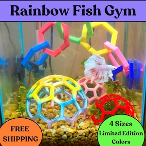 Betta fish, shrimp tank decor, Aquarium accessories, Aquarium, Betta Enrichment, Fish Enrichment, Fish Gym, The XS Designs