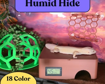 Reptile Humid Hide | All-Purpose for Geckos & Young/Snake Hatchlings | Colorful Terrarium Comfort | XS Designs
