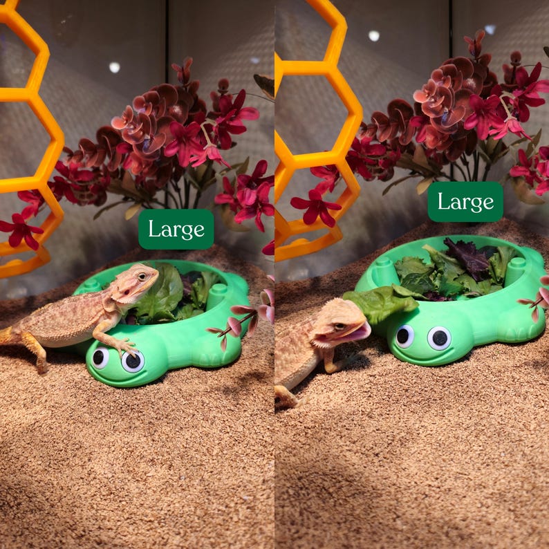 May include: A light green turtle-shaped feeding dish with googly eyes, filled with leafy greens. A bearded dragon rests on the dish. A yellow honeycomb-shaped structure and red artificial flowers are visible. The text Large is displayed.