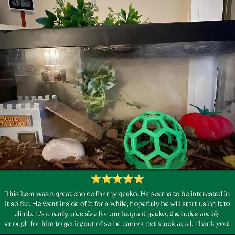 May include: A bright green, hollow, spherical climbing structure with a hexagonal grid pattern, positioned inside a glass terrarium alongside a white rock, a red tomato-shaped hide, a small castle structure labeled Lord Cheeger, and green foliage.