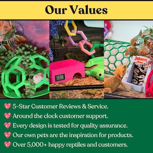 Our Values graphic showing colorful reptile products and a customer service message
