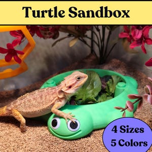 May include: A bright green turtle-shaped feeding dish with large googly eyes and a smiling mouth. A bearded dragon rests on the edge of the dish, which contains green leafy vegetables. The text Turtle Sandbox, 4 Sizes, and 5 Colors is visible.