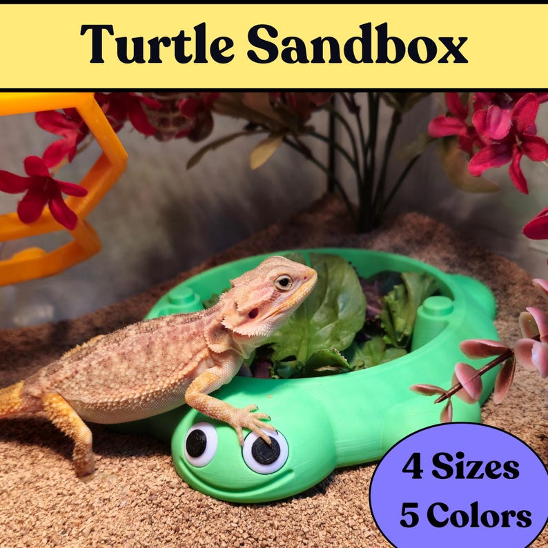May include: A bright green turtle-shaped feeding dish with large googly eyes and a smiling mouth. A bearded dragon rests on the edge of the dish, which contains green leafy vegetables. The text Turtle Sandbox, 4 Sizes, and 5 Colors is visible.