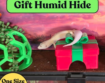 Humid Hide Gift Box Reptile & Amphibian Functional Decor Leopard gecko