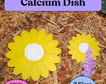 Flower Calcium Dish for Leopard Geckos | Reptile Feeder