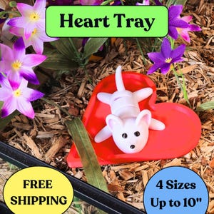 Snake Feeding Heart Tray: Reptile Dish