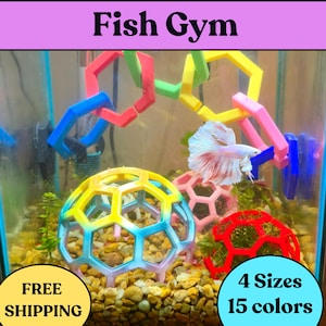 Betta fish, shrimp tank decor, Aquarium accessories, Aquarium, Betta Enrichment, Fish Enrichment, Fish Gym, The XS Designs