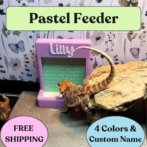 Bearded Dragon Bug feeder Pastel Food Tank Accessories , Reptiles habitat and care feeding dish Also for Leopard gecko & other exotic pets