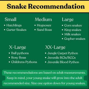Snake recommendation chart listing suggested species and sizes for the reptile enrichment jungle gym