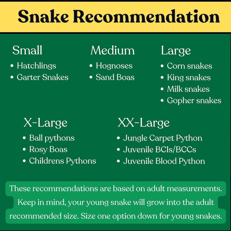 Snake recommendation chart listing suggested species and sizes for the reptile enrichment jungle gym