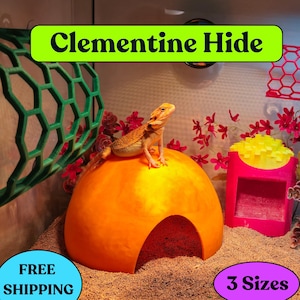 May include: Orange dome-shaped reptile hide with a small opening. A bearded dragon is perched on top of the hide. The hide is in a terrarium with sand on the bottom and a green honeycomb-shaped background.