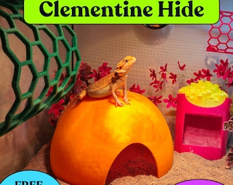 Clementine Reptile Hide: Gecko, Snake & Bearded Dragon Cave
