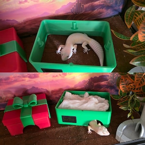 Magenta humid hide with removable roof and a small snake inside