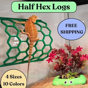 Bearded Dragon Half Hex Log: Reptile Tank Climbing Decor