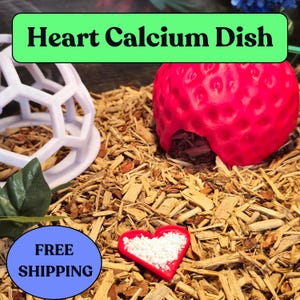 Heart-Shaped Calcium Dish for Leopard Geckos | Reptile Supplement Feeder