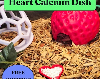 Heart-Shaped Calcium Dish for Leopard Geckos | Reptile Supplement Feeder