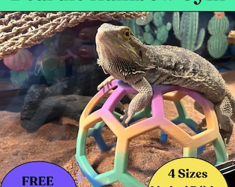 Bearded Dragon Rainbow Jungle Gym: Reptile Habitat Enrichment