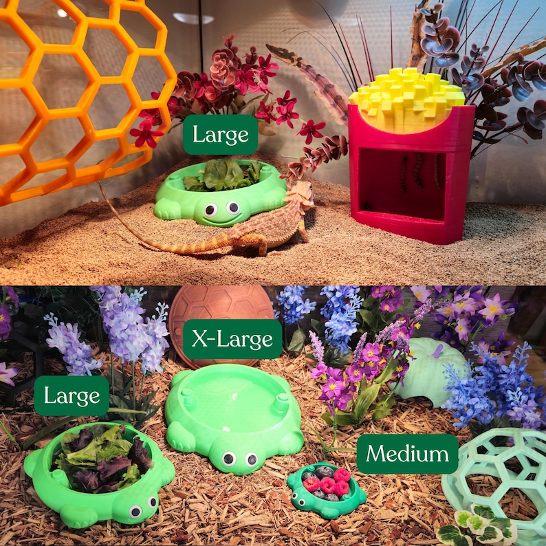 May include: A collection of reptile habitat accessories including green turtle-shaped food dishes in large, medium, and extra-large sizes, an orange honeycomb climbing structure, and a pink container shaped like a box of french fries.