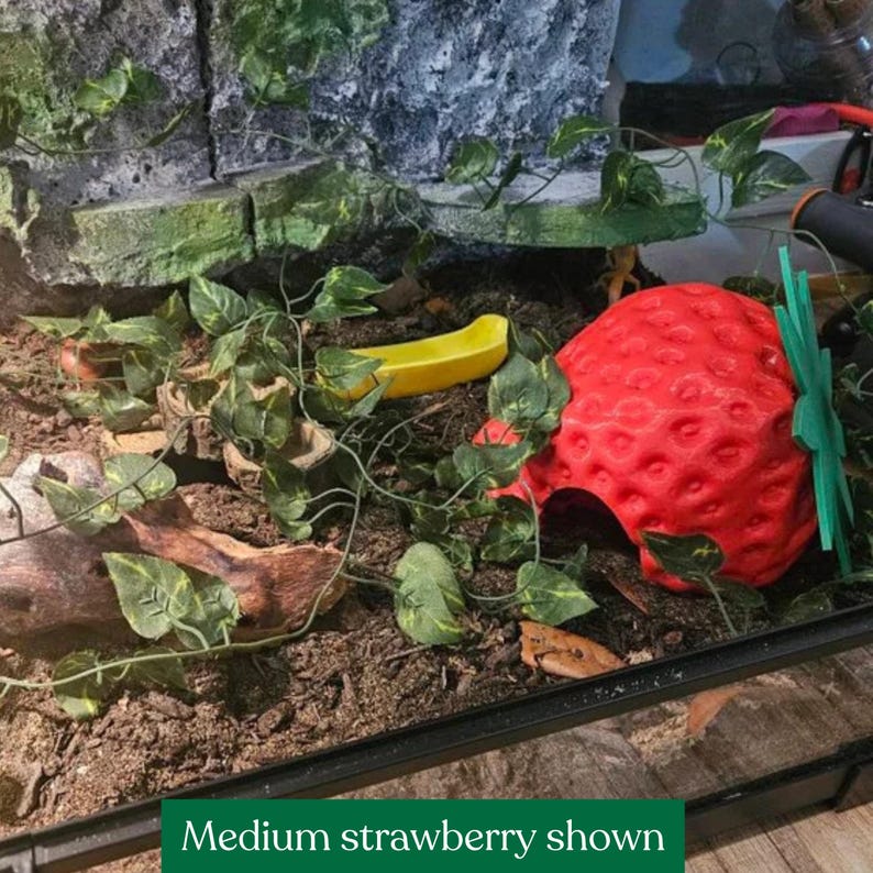 Red strawberry snake hide placed inside a planted reptile enclosure