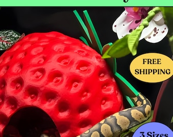 Reptile Hide Strawberry : Snake Enrichment, Cornsnake Garter Enclosure