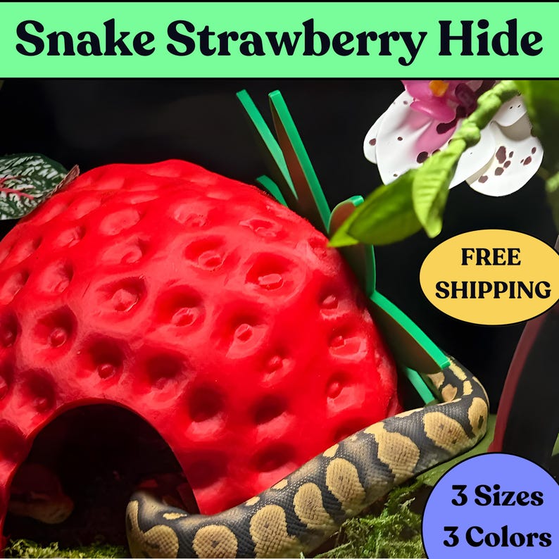 Red strawberry reptile hide with a snake entering the doorway, available in three sizes and colors