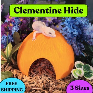 Reptile Hide Clementine : Enclosure for Leopard Geckos, Snakes, Frogs