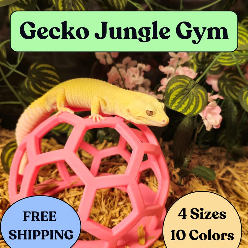 Leopard Gecko Jungle Gym for leopard gecko tanks, reptile enclosures, and terrariums. Perfect for leopard gecko enrichment, climbing, and exploring. A durable, easy-to-clean accessory that enhances any leopard gecko habitat with fun and functionality