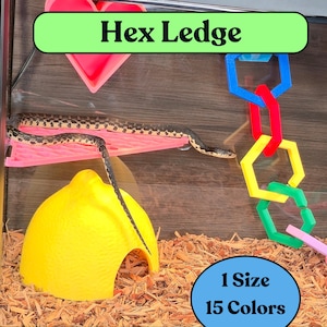 Snake Enrichment, Reptile Accessories, Cornsnake, or other Snakes like Gopher, Garter, Sand Boa, Hognose, Pet, Habitat, Hex Ledge
