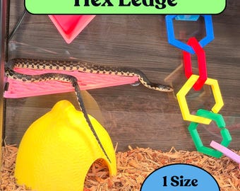 Snake Hex Ledge: Corner Climbing Platform Reptile Enrichment Habitat - Cornsnake, Hognose & More