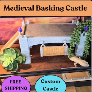 May include: A Medieval Basking Castle terrarium decoration with a light gray castle structure, a ramp, and a sign that reads "Butters The Fierce". The terrarium also includes a succulent plant and a reptile.