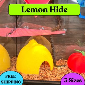 Snake Enrichment, Reptile Hide, Reptile Accessories, Cornsnake, or other Snakes like Gopher, Garter, Sand Boa, Hognose, Lemon Hide