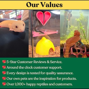 May include: A collage featuring a pale leopard gecko, a snake on a pink heart-shaped platform with a yellow lemon-shaped hide, and an orange bearded dragon on a geometric structure. Text reads: Our Values, 5-Star Customer Reviews & Service, Around the clock customer support, Every design is tested for quality assurance, Our own pets are the inspiration for products, Over 1,000+ happy reptiles and customers.