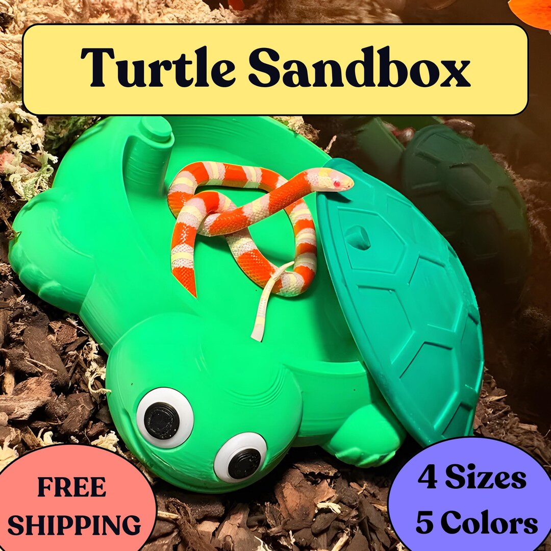 Image showcasing Snake Enrichment: Turtle Food or Water Dish, Terrarium Decor - Etsy