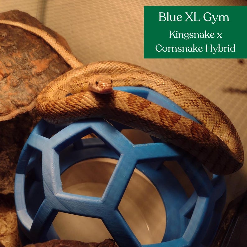 Python Playground: Snake & Boa Constrictor Enrichment Jungle Gym Bild 2