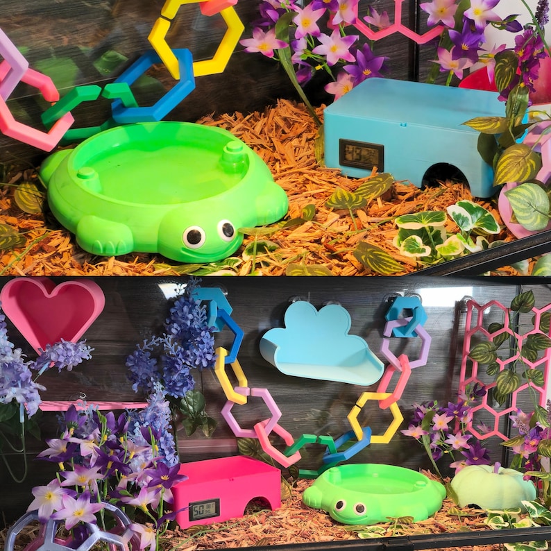 Sky blue and green reptile humid hides arranged in a decorated terrarium