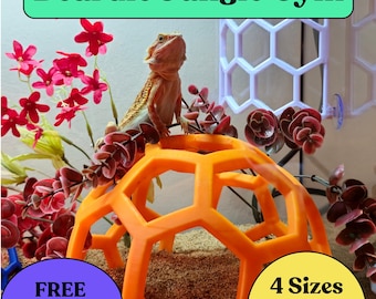 Bearded Dragon Jungle Gym: Reptile Habitat Decor, Enrichment
