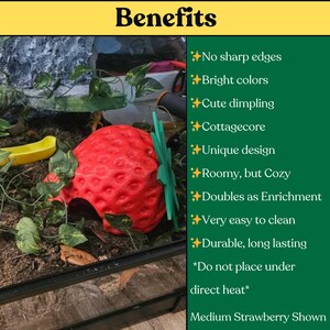Strawberry reptile hide benefits infographic for snake enclosure enrichment