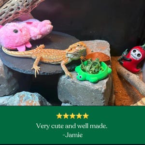 May include: A bearded dragon lizard rests on a dark circular stone platform next to a bright green turtle-shaped food dish filled with leafy greens. A pink plush toy, a small orange turtle figure, and a red chili pepper figurine are nearby.