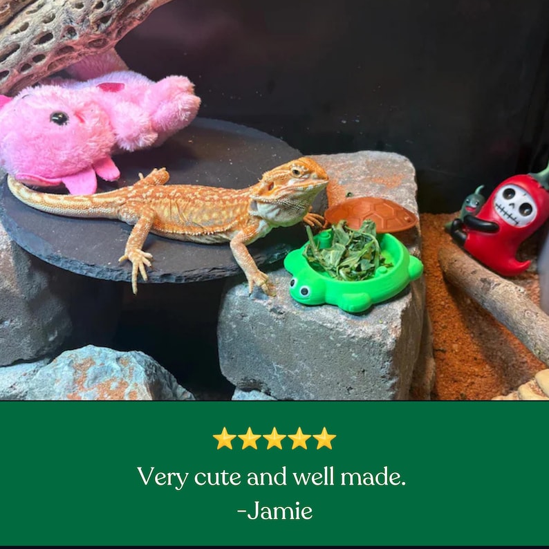 May include: A bearded dragon lizard rests on a dark circular stone platform next to a bright green turtle-shaped food dish filled with leafy greens. A pink plush toy, a small orange turtle figure, and a red chili pepper figurine are nearby.