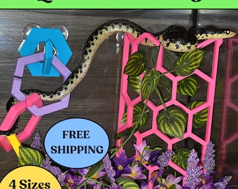 Snake Enrichment Quarter Hex Log: Reptile Habitat Accessories