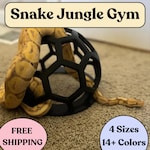 Ball Python Toys