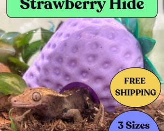 Reptile Hide Strawberry: Crested Gecko Enclosure